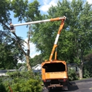 Madsaw Tree Service LLC - Tree Service