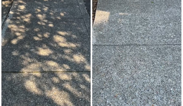 Fancy Washing LLC - Salem, OR. Sidewalk pressure washing