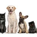 Germantown Veterinary Clinic - Veterinary Clinics & Hospitals