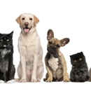 Selinsgrove Veterinary Hospital - Veterinarians