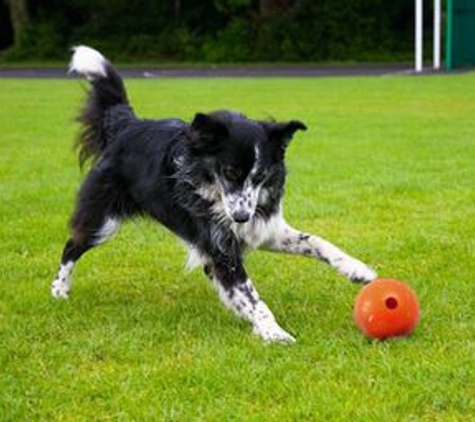 Boise Kennels - Boise, ID