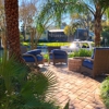 Beautiful Blooms Landscaping gallery