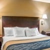 Comfort Inn gallery