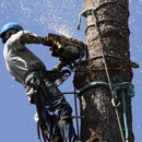 Tree Barber Enterprises - Tree Service