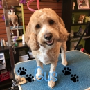Bark Stars Grooming Salon - Pet Grooming