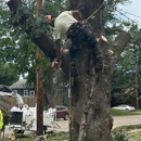 Good Guys Tree Service - Tree Service