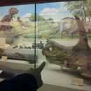 Ku Natural History Museum - Museums