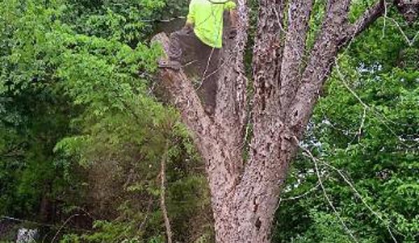 RGC Tree Lawn and Landscaping - Stillwater, OK