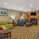 Comfort Inn & Suites North Dallas-Addison - Motels