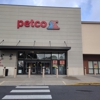 Petco gallery