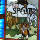 The Pet Spot - Dog Day Care