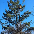 God's Country Tree Service