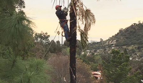 Trees'N  Things - Chatsworth, CA