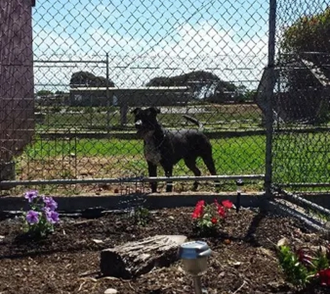 Ulverstone Boarding Kennels & Cattery - Ulverstone, TAS