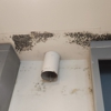 Carolina Mold & Air gallery