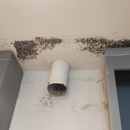 Carolina Mold & Air - Water Damage Restoration