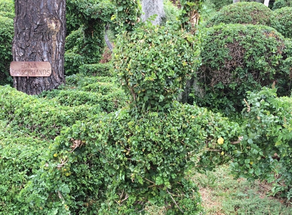 Harper’s Topiary Garden - San Diego, CA