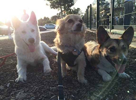 Watson Dog Park - San Jose, CA