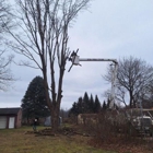 J & J Tree Services