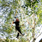 Gorge Tree Surgeon