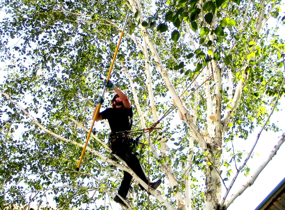 Gorge Tree Surgeon - Hood River, OR