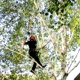 Gorge Tree Surgeon