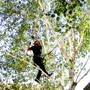 Gorge Tree Surgeon