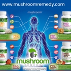 Mushroom Remedy LLC