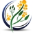 Acacia Financial Services Pty Ltd - Accountants & Auditors