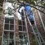 Brandon's Window Cleaning