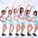 Agoura Hills Dance & Performing Arts Center - Dancing Instruction