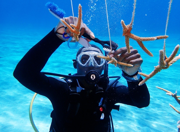 The College of the Florida Keys - Key West, FL