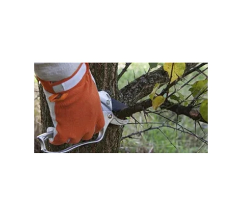 Northshore Gardening Maintenance Pty Ltd - Willoughby East, NSW