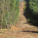 Ortega Land Clearing, LLC - Tree Service