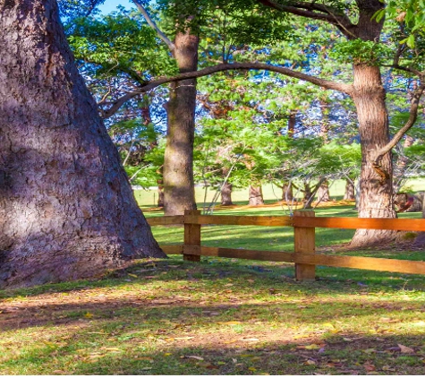 Anderberg Fencing Contractors - Yarravel, NSW