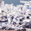 Reliable Shredding gallery