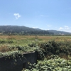 Humboldt Bay National Wildlife Refuge Complex gallery