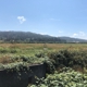 Humboldt Bay National Wildlife Refuge Complex