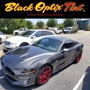 Black Optix Tint