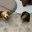 Fairfax Veterinary Hospital