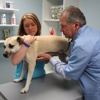 Pet Care Animal Hospital gallery