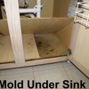 Texas Mold Consultants gallery