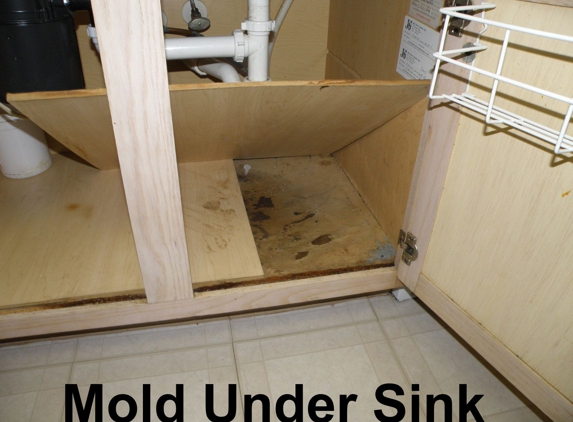 Texas Mold Consultants - Austin, TX