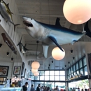 Bear Flag Fish Company - Seafood Restaurants