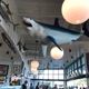 Bear Flag Fish Company