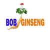 Bob Ginseng gallery