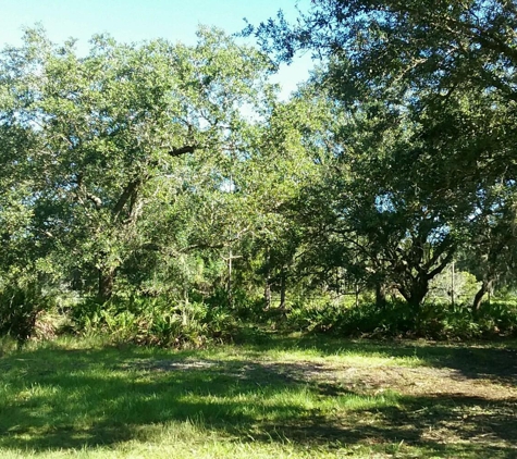 Mid Florida Land Services - Frostproof, FL. Before clearing around oaks the land owner wanted to keep