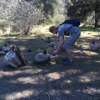 Pinnacles National Park gallery