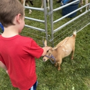 The Goddard School of Westerville - Executive Parkway - Day Care Centers & Nurseries