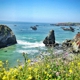 Sonoma Coast State Park